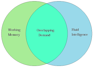 Working Memory and Fluid Intelligence Venn Diagram